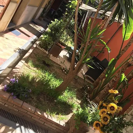 Dei Girasoli *
