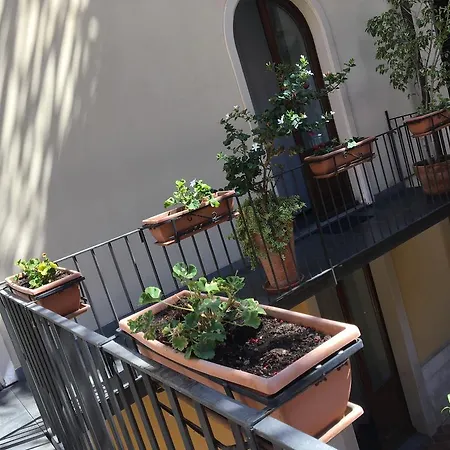 Dei Girasoli Catane