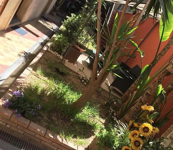 Dei Girasoli *
