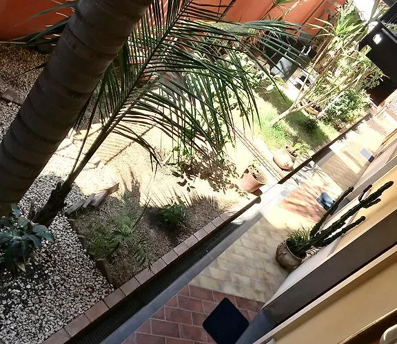 Dei Girasoli